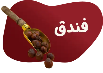 فندق