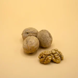 گردوی تازه با پوسته سخت و بافتی غنی.